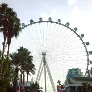 Meet your Posher, Shelby